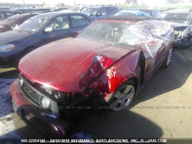 1ZVBP8FHXA5101113 - 2010 FORD MUSTANG GT RED photo 1
