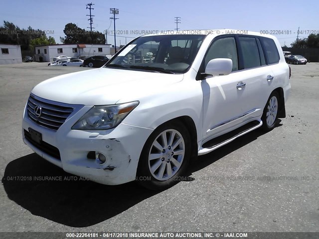 JTJHY00W184013146 - 2008 LEXUS LX 570 WHITE photo 2