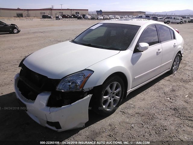 1N4BA41E37C843504 - 2007 NISSAN MAXIMA SE/SL WHITE photo 2