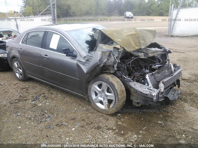 1G1ZC5E03AF292142 - 2010 CHEVROLET MALIBU 1LT Champagne photo 1