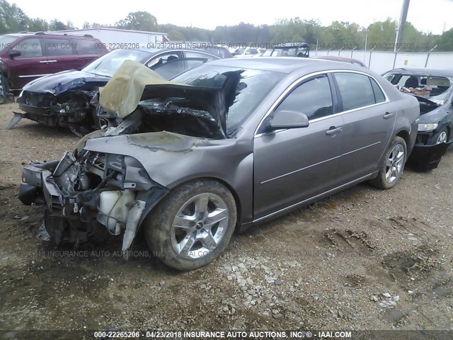 1G1ZC5E03AF292142 - 2010 CHEVROLET MALIBU 1LT Champagne photo 2
