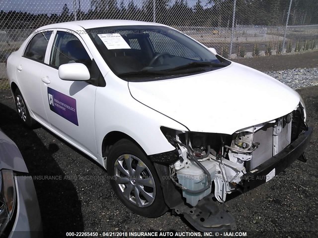 1NXBU4EE1AZ284401 - 2010 TOYOTA COROLLA S/LE/XLE WHITE photo 1