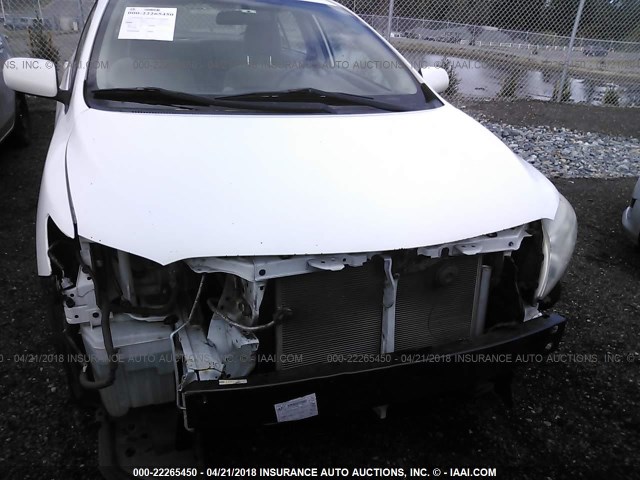 1NXBU4EE1AZ284401 - 2010 TOYOTA COROLLA S/LE/XLE WHITE photo 6