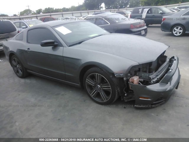 1ZVBP8AMXE5334628 - 2014 FORD MUSTANG GRAY photo 1