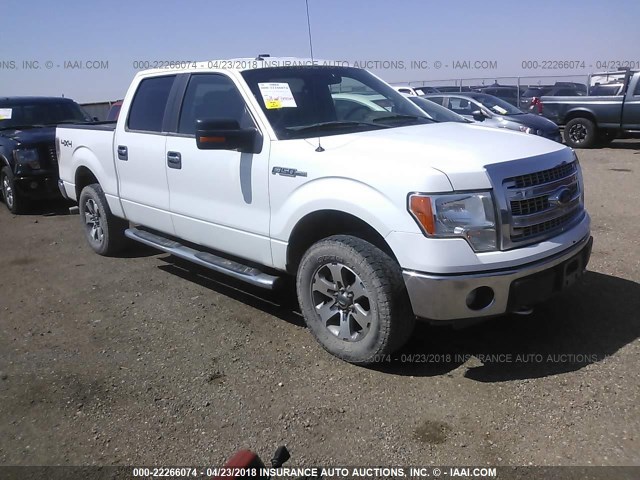 1FTFW1EF9DKD89131 - 2013 FORD F150 SUPERCREW WHITE photo 1