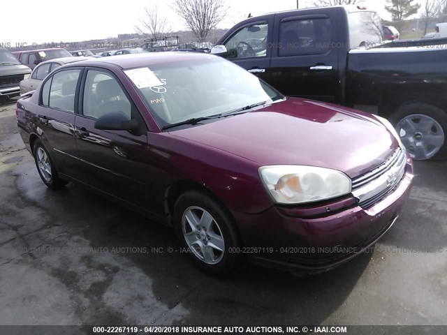 1G1ZT52895F307209 - 2005 CHEVROLET MALIBU LS 栗色 照片 1