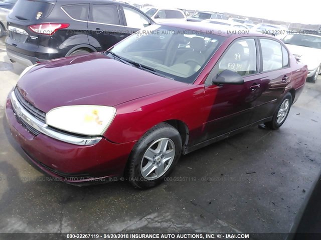 1G1ZT52895F307209 - 2005 CHEVROLET MALIBU LS 栗色 照片 2