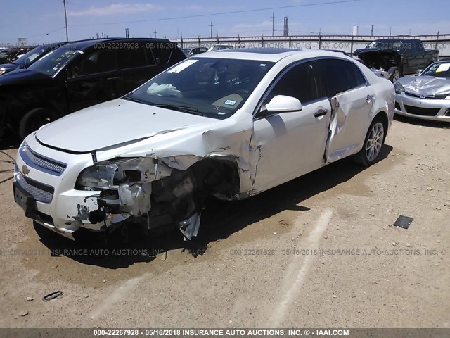 1G1ZE5E74BF390377 - 2011 CHEVROLET MALIBU LTZ WHITE photo 2