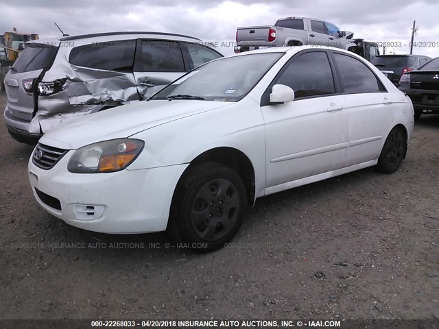 KNAFE221995625863 - 2009 KIA SPECTRA EX/LX/SX WHITE photo 2