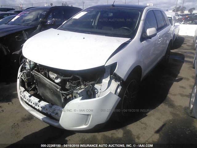 2FMDK3JCXDBA58977 - 2013 FORD EDGE SEL WHITE photo 2