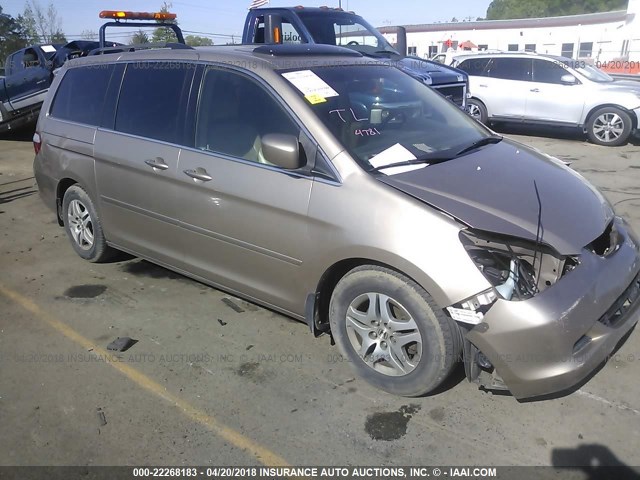 5FNRL387X6B414818 - 2006 HONDA ODYSSEY EXL ოქროსფერი ფოტო 1