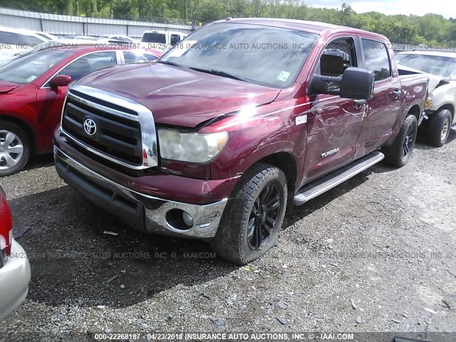 5TFEY5F14AX095120 - 2010 TOYOTA TUNDRA CREWMAX SR5 MAROON photo 2