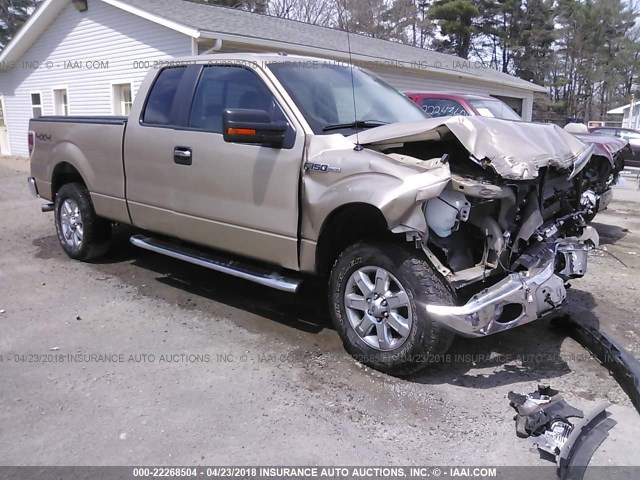 1FTFX1EF4DFD01866 - 2013 FORD F150 SUPER CAB GOLD photo 1