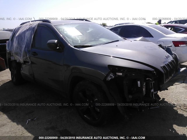 1C4PJLAB3HW666890 - 2017 JEEP CHEROKEE SPORT GRAY photo 1