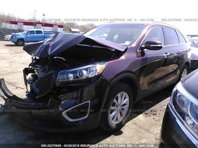 5XYPG4A37GG029719 - 2016 KIA SORENTO LX/L MAROON photo 2