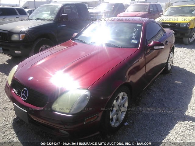 WDBKK49F32F264216 - 2002 MERCEDES-BENZ SLK 230 KOMPRESSOR RED photo 2