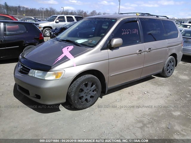 5FNRL18083B014498 - 2003 HONDA ODYSSEY EXL BEIGE photo 2