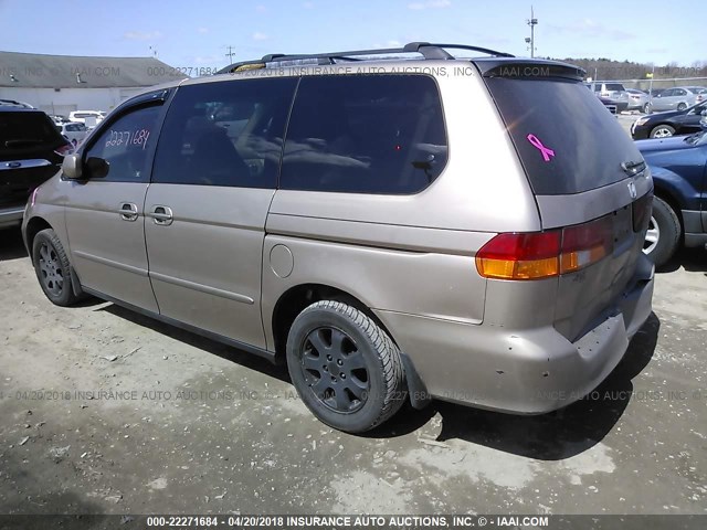 5FNRL18083B014498 - 2003 HONDA ODYSSEY EXL BEIGE photo 3