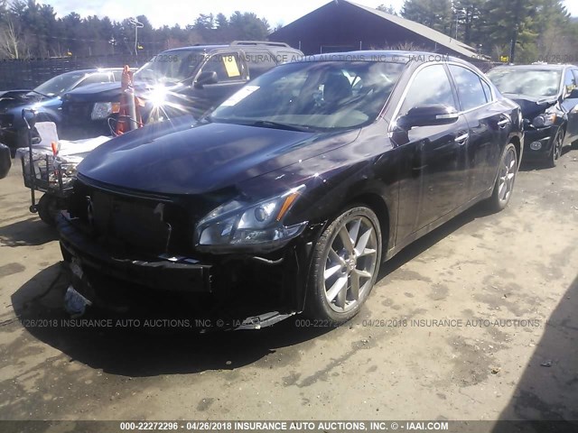 1N4AA5AP6BC813571 - 2011 NISSAN MAXIMA S/SV BURGUNDY photo 2