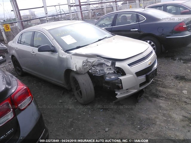 1G1ZB5EB2AF214567 - 2010 CHEVROLET MALIBU LS თაფლისფერი ფოტო 1