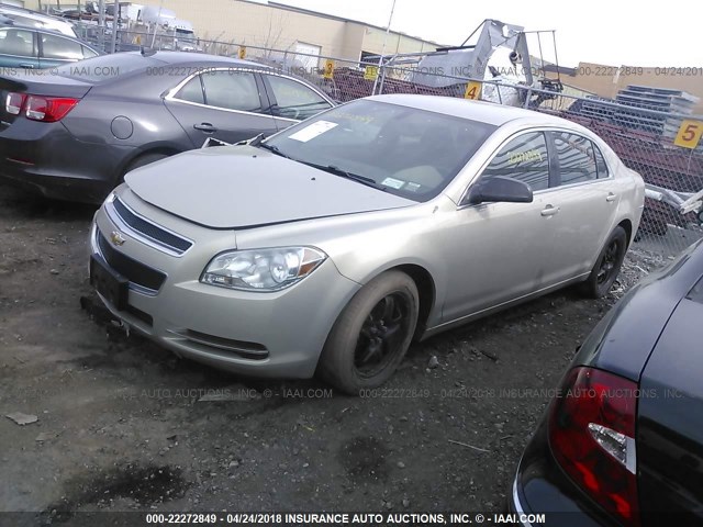 1G1ZB5EB2AF214567 - 2010 CHEVROLET MALIBU LS თაფლისფერი ფოტო 2