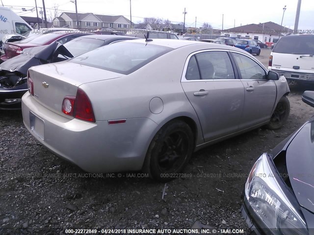 1G1ZB5EB2AF214567 - 2010 CHEVROLET MALIBU LS თაფლისფერი ფოტო 4