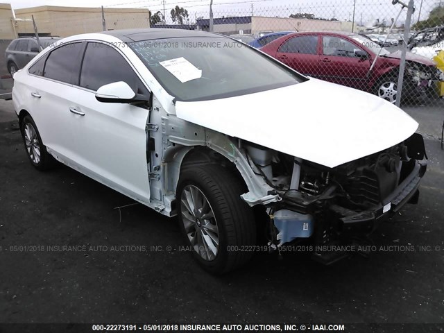 5NPE34AF7FH042183 - 2015 HYUNDAI SONATA SPORT/LIMITED WHITE photo 1