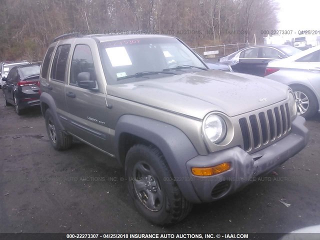1J4GL48K53W706055 - 2003 JEEP LIBERTY SPORT/FREEDOM თაფლისფერი ფოტო 1