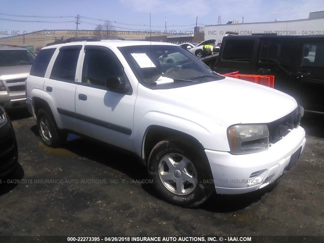 1GNDT13S332360438 - 2003 CHEVROLET TRAILBLAZER  WHITE photo 1