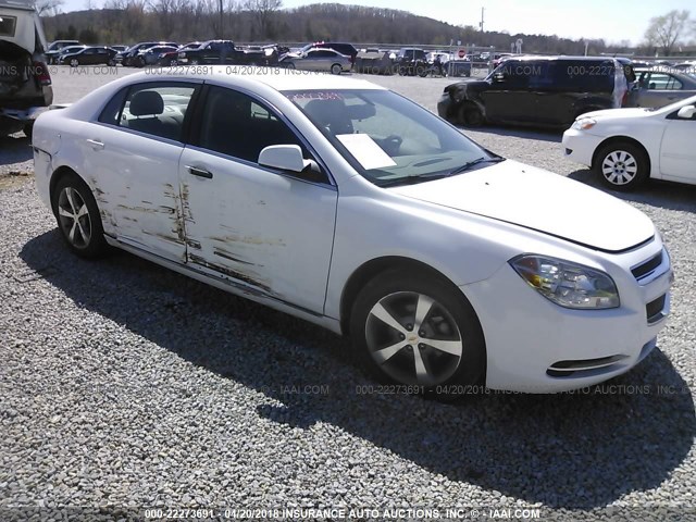 1G1ZC5E15BF177276 - 2011 CHEVROLET MALIBU 1LT თეთრი ფოტო 1