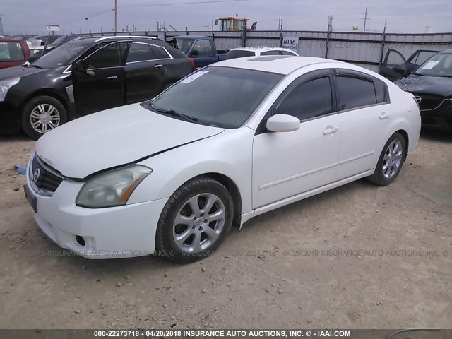 1N4BA41E47C813797 - 2007 NISSAN MAXIMA SE/SL WHITE photo 2