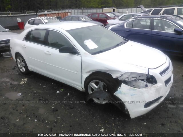 1G1ZB5EB2AF141443 - 2010 CHEVROLET MALIBU LS 白色 照片 1