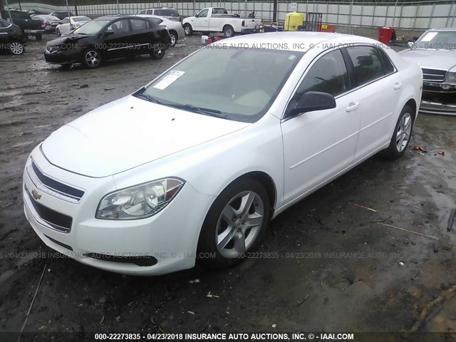 1G1ZB5EB2AF141443 - 2010 CHEVROLET MALIBU LS 白色 照片 2