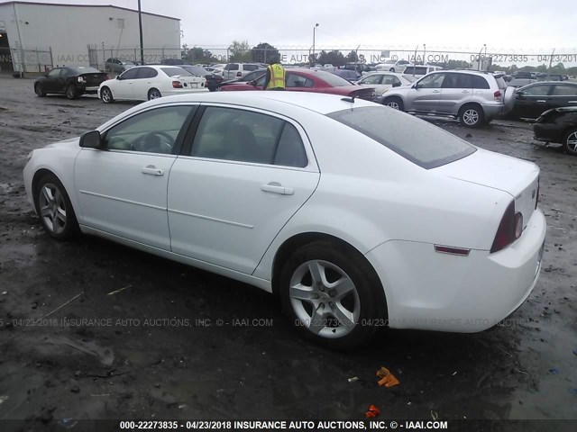 1G1ZB5EB2AF141443 - 2010 CHEVROLET MALIBU LS 白色 照片 3