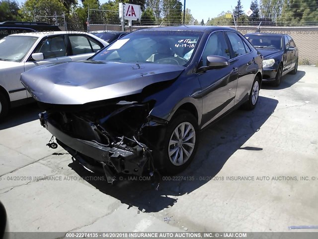 4T4BF1FK9GR525228 - 2016 TOYOTA CAMRY LE/XLE/SE/XSE GRAY photo 2
