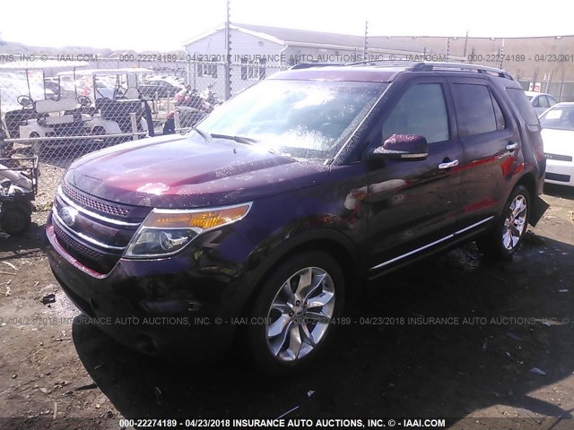 1FMHK8F82BGA75491 - 2011 FORD EXPLORER LIMITED 勃艮第红 照片 2