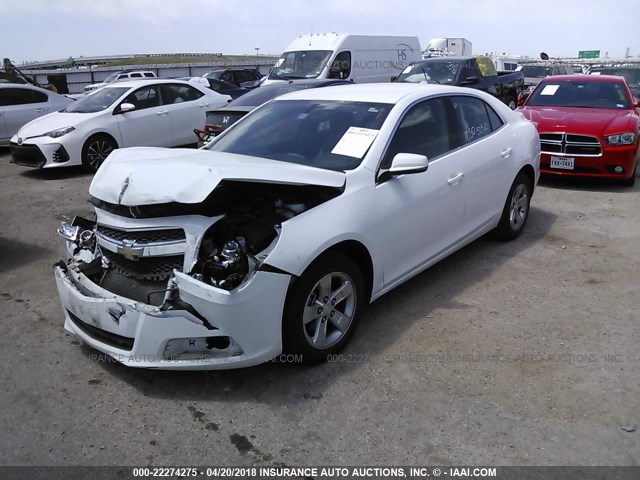 1G11C5SA5DF335572 - 2013 CHEVROLET MALIBU 1LT 白色 照片 2