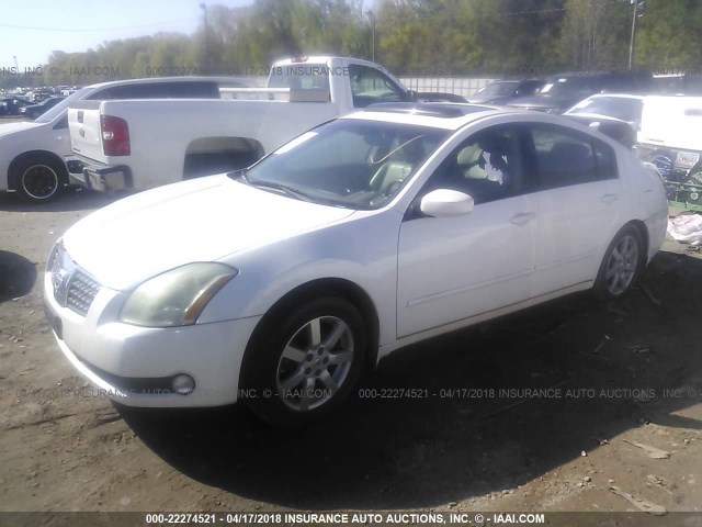 1N4BA41E44C815335 - 2004 NISSAN MAXIMA SE/SL WHITE photo 2