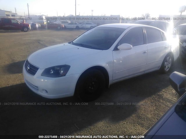 1N4AL11D85C197255 - 2005 NISSAN ALTIMA S/SL WHITE photo 2