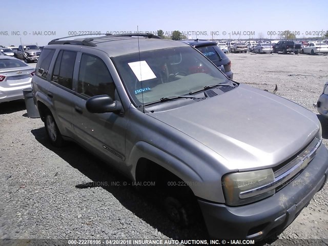 1GNDT13SX22458963 - 2002 CHEVROLET TRAILBLAZER  BEIGE photo 6