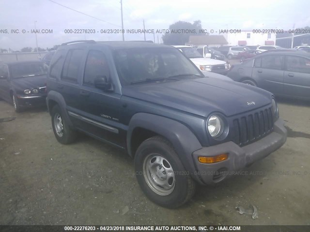 1J4GL48K42W351054 - 2002 JEEP LIBERTY SPORT BLUE photo 1