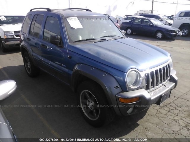 1J4GK48K53W664974 - 2003 JEEP LIBERTY SPORT/FREEDOM ლურჯი ფოტო 1
