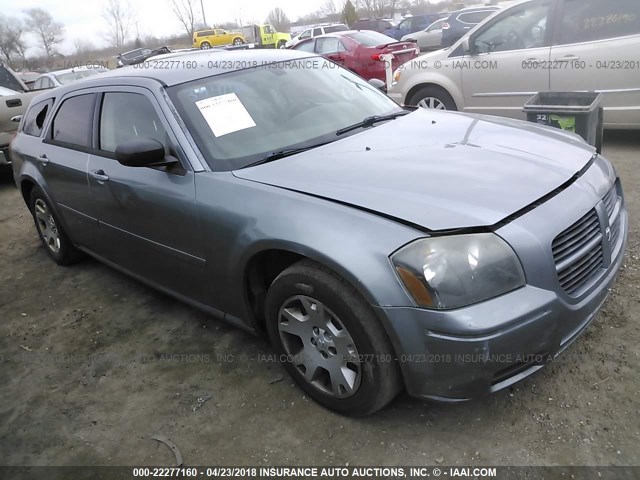 2D4FV47T06H344101 - 2006 DODGE MAGNUM SE GRAY photo 1