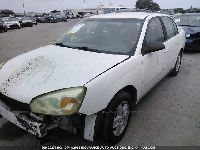1G1ZT52805F311438 - 2005 CHEVROLET MALIBU LS 白色 照片 2