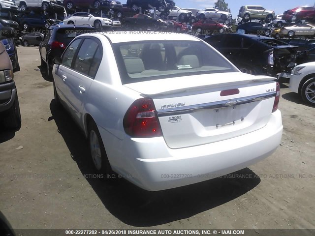 1G1ZT52805F311438 - 2005 CHEVROLET MALIBU LS 白色 照片 3