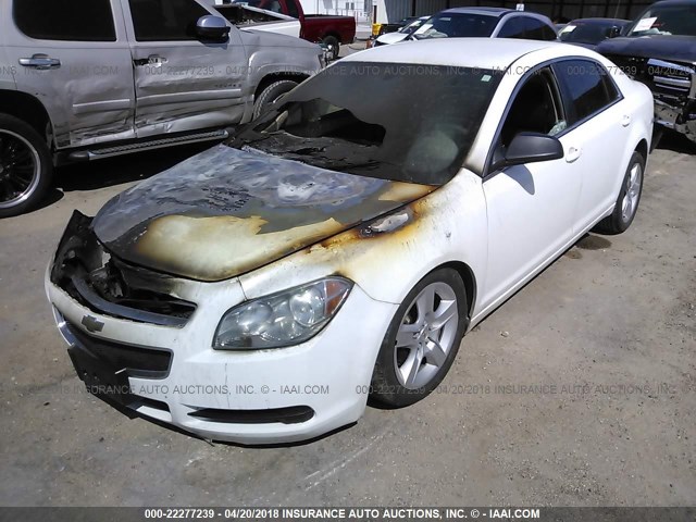 1G1ZA5EK6A4165632 - 2010 CHEVROLET MALIBU LS WHITE photo 2