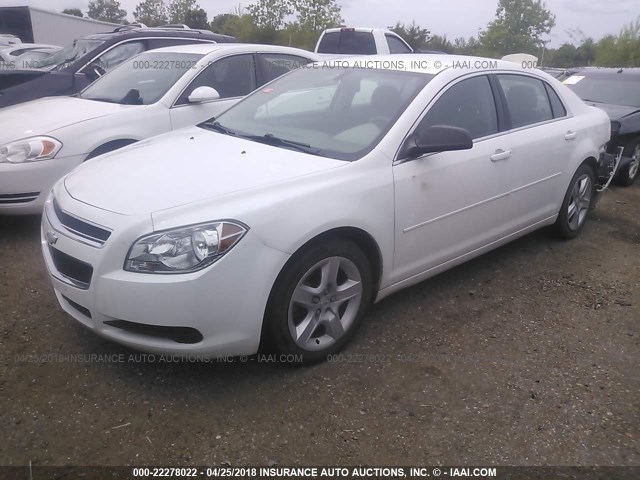 1G1ZA5EU9CF392032 - 2012 CHEVROLET MALIBU LS WHITE photo 2