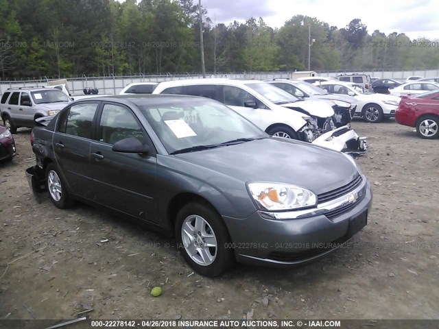1G1ZT52825F145195 - 2005 CHEVROLET MALIBU LS Сұр фото 1
