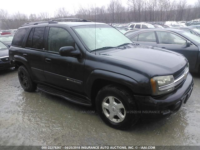 1GNDT13S532111767 - 2003 CHEVROLET TRAILBLAZER  GRAY photo 1