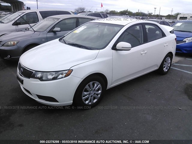 KNAFU4A26B5393530 - 2011 KIA FORTE EX WHITE photo 2